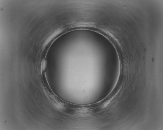 X0000065971317200603101347