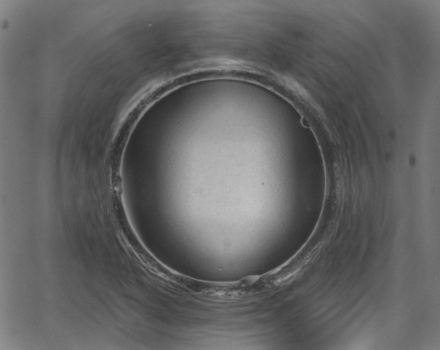 X0000065971318200603101347