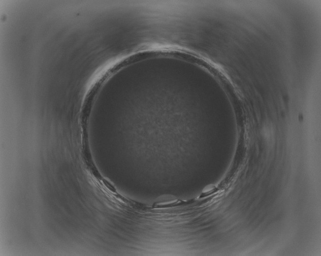 X0000065971319200603101347