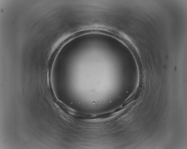 X0000065971320200603101347