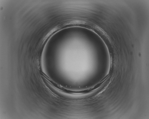 X0000065971321200603101347