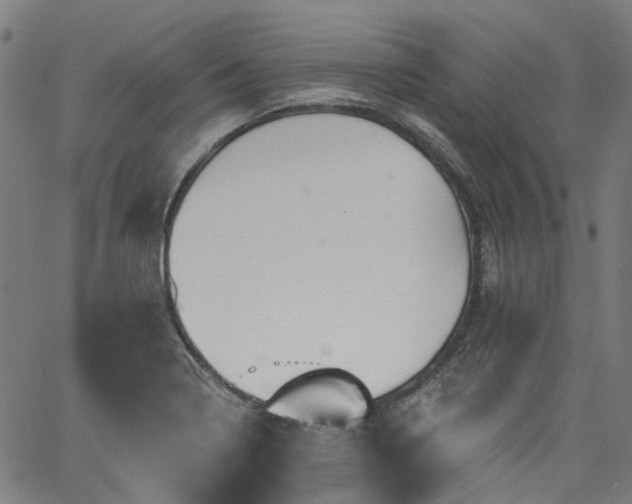 X0000065971322200603101347