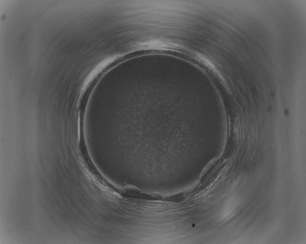 X0000065971323200603101347