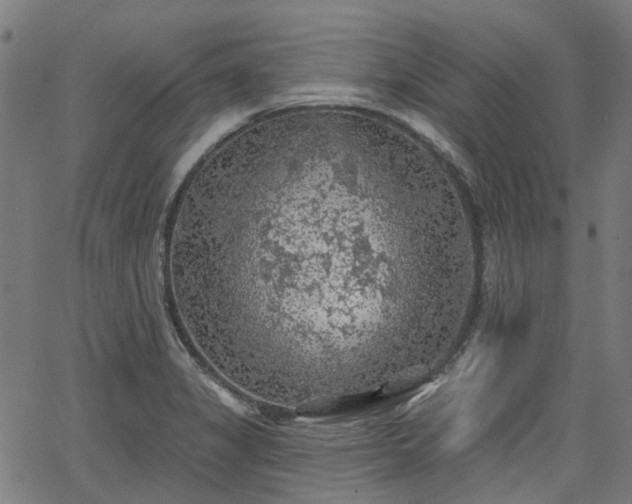 X0000065971325200603101347