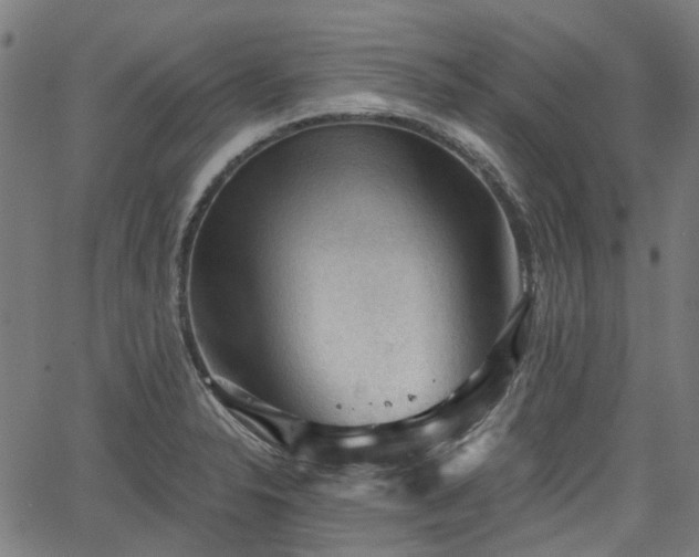 X0000065971326200603101347