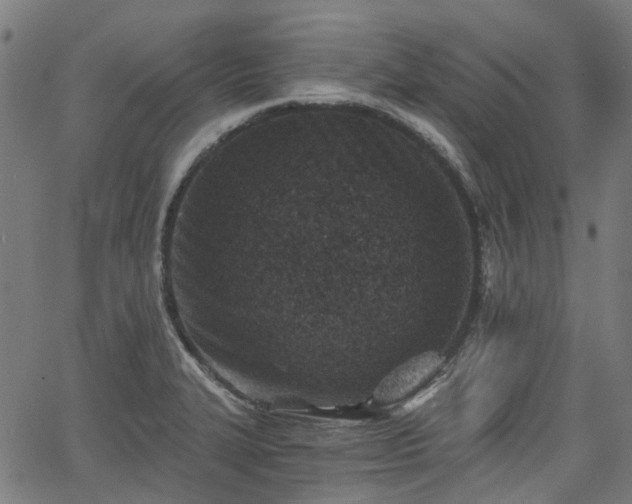 X0000065971327200603101347