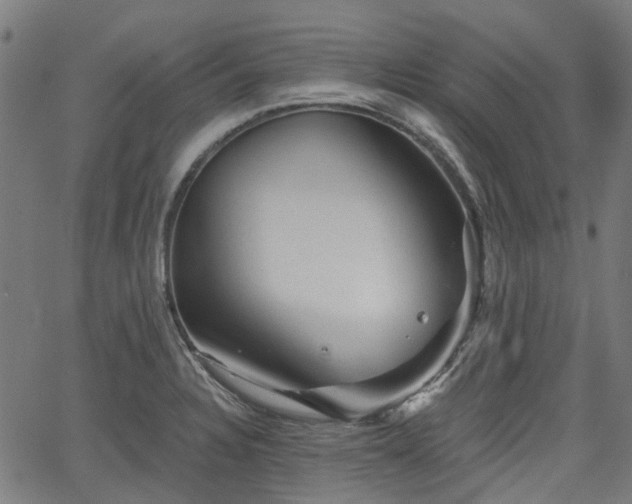 X0000065971328200603101347