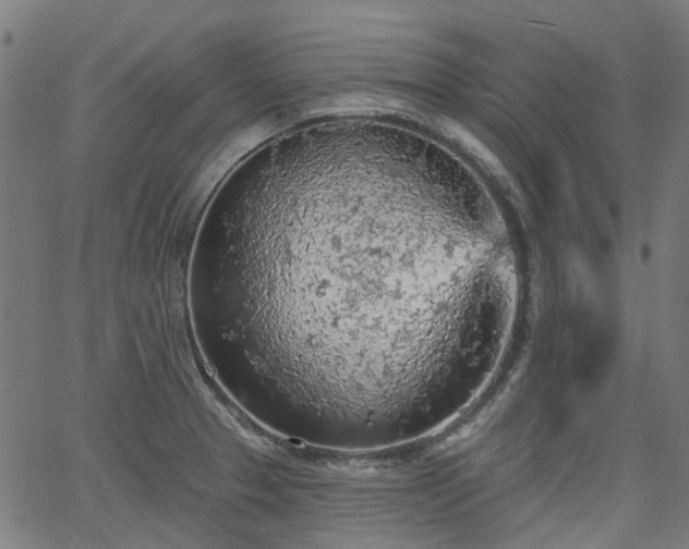 X0000065971329200603101347