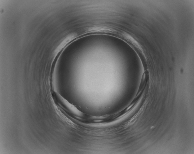 X0000065971330200603101347