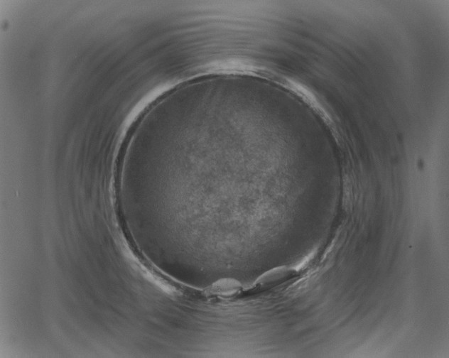 X0000065971331200603101347