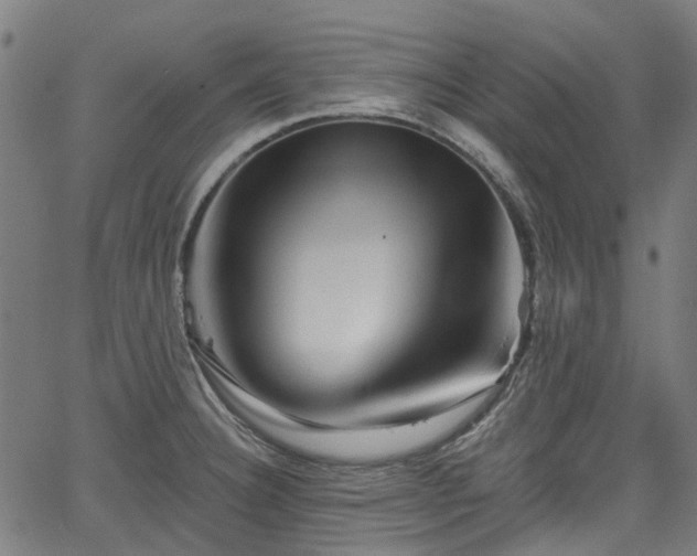 X0000065971332200603101347