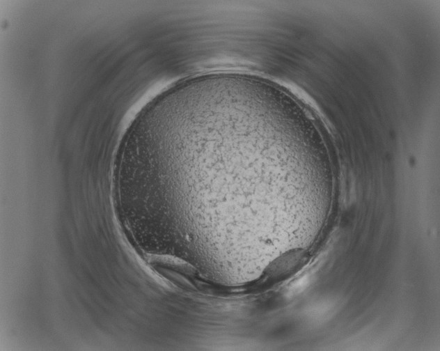 X0000065971333200603101348