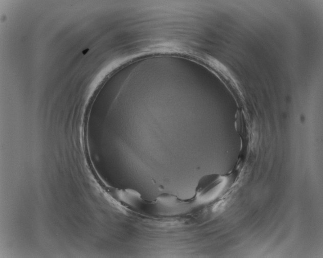 X0000065971334200603101348