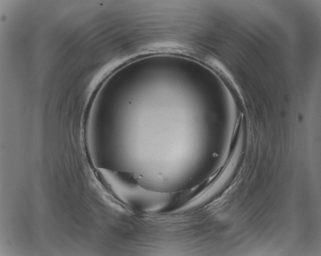 X0000065971336200603101348