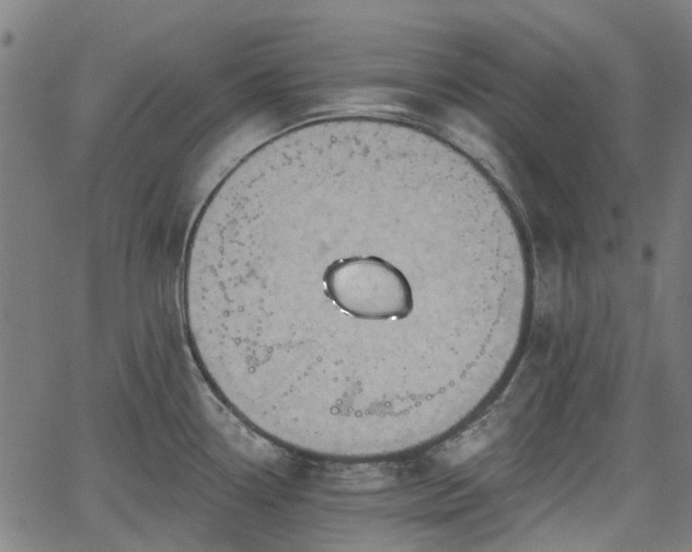 X0000065971338200603101348