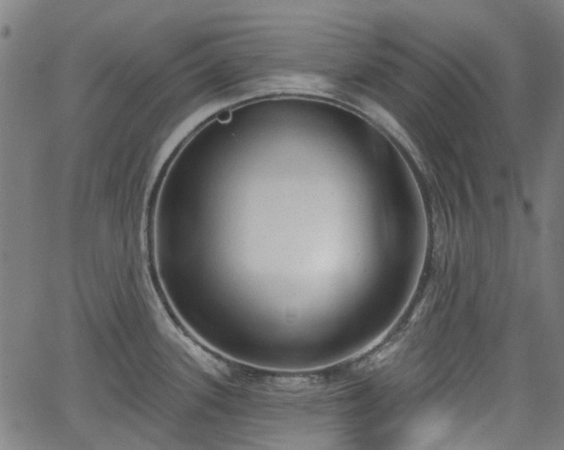 X0000065971339200603101348