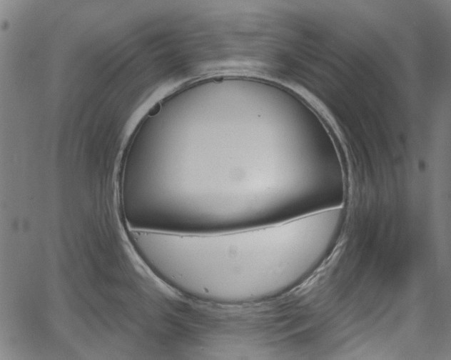 X0000065971341200603101348