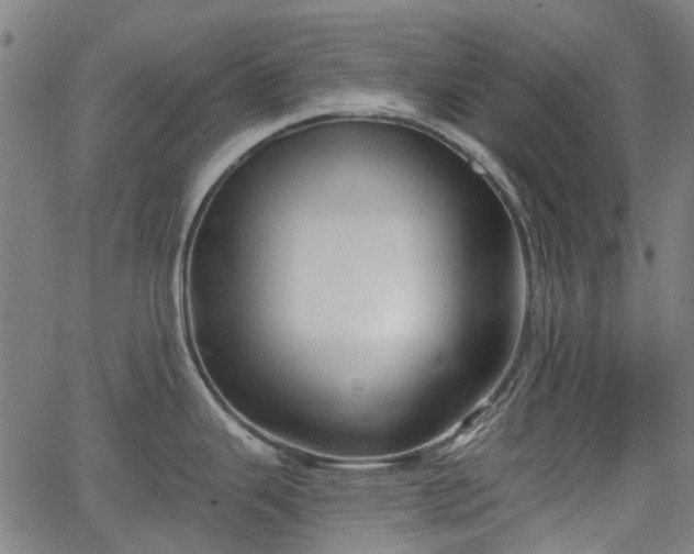 X0000065971343200603101348