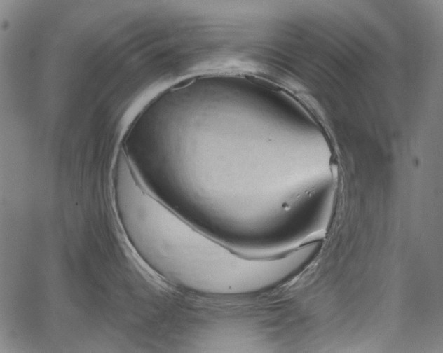 X0000065971344200603101348