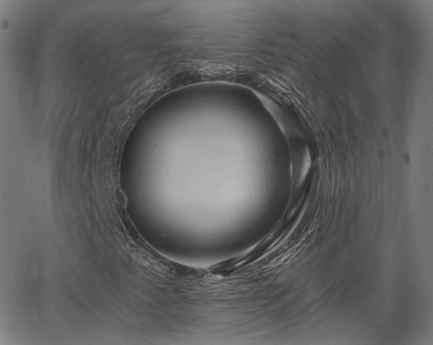 X0000065971345200603101347