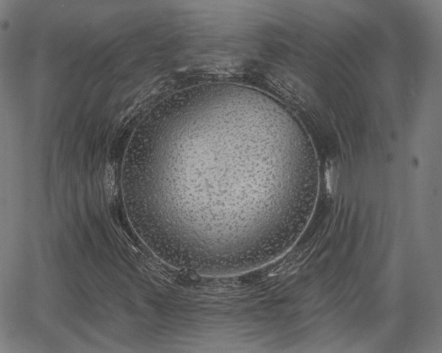 X0000065971347200603101347