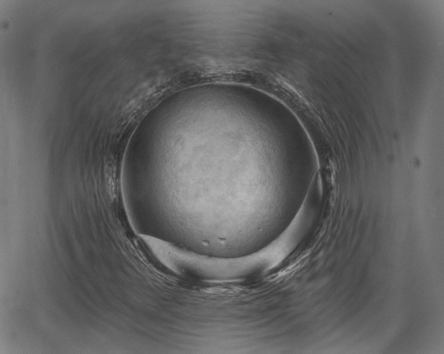 X0000065971348200603101347