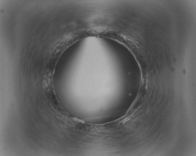 X0000065971349200603101347