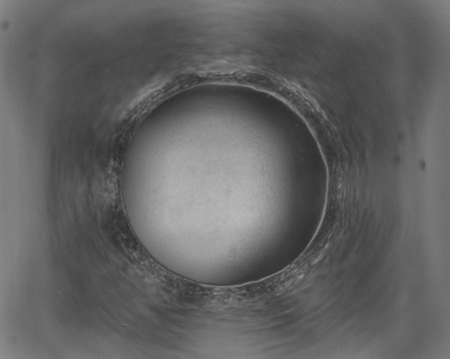 X0000065971350200603101347