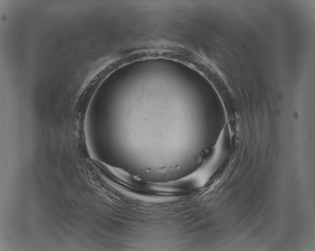 X0000065971352200603101347