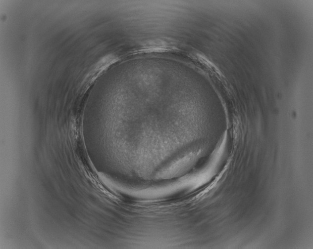 X0000065971353200603101347