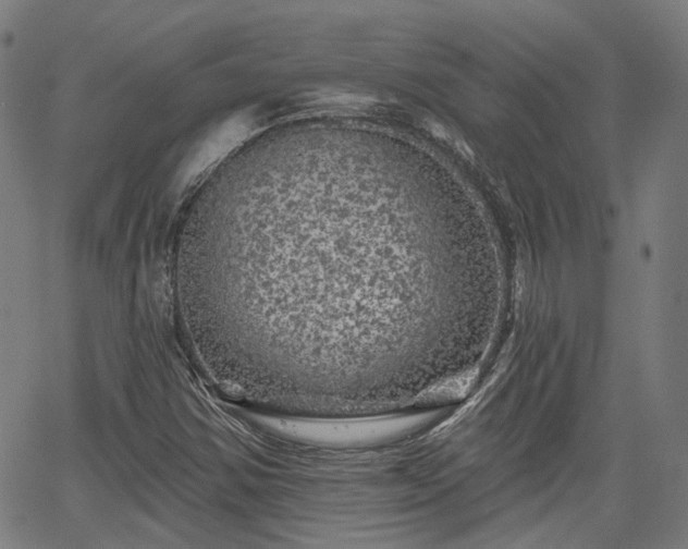 X0000065971354200603101347