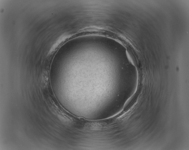 X0000065971355200603101347