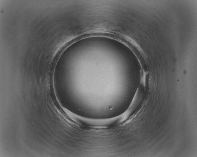 X0000065971356200603101347