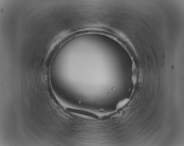 X0000065971360200603101347