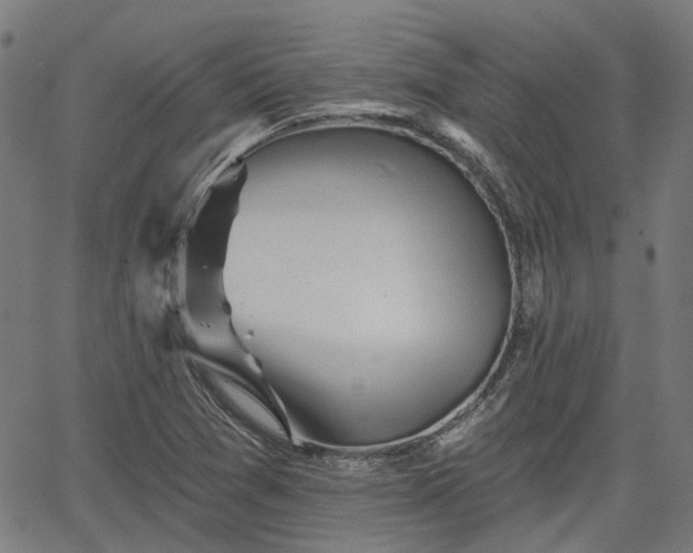 X0000065971361200603101347