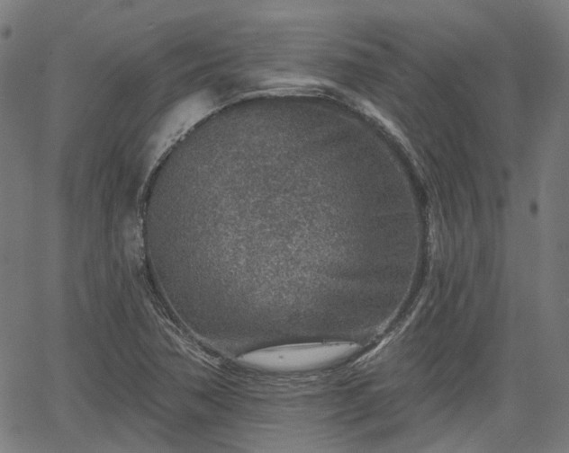 X0000065971362200603101347