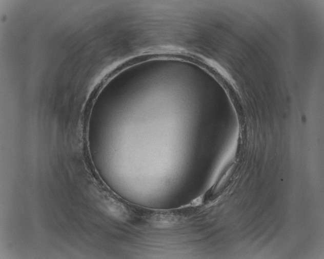 X0000065971364200603101347