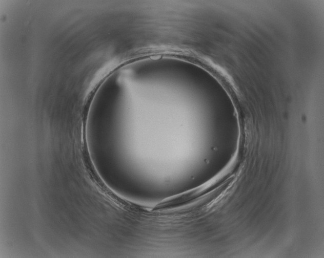 X0000065971365200603101347