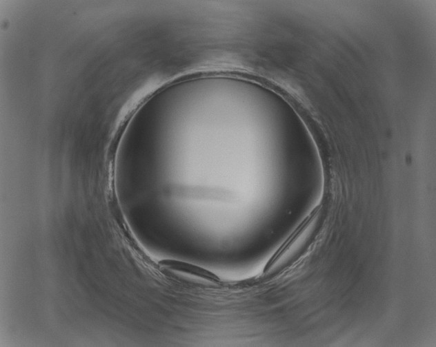 X0000065971366200603101347