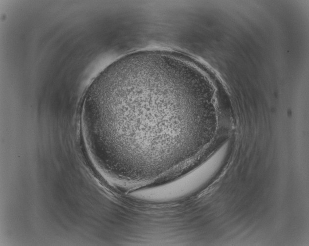 X0000065971367200603101347