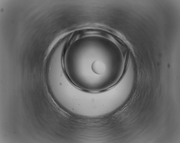 X0000065971368200603101347