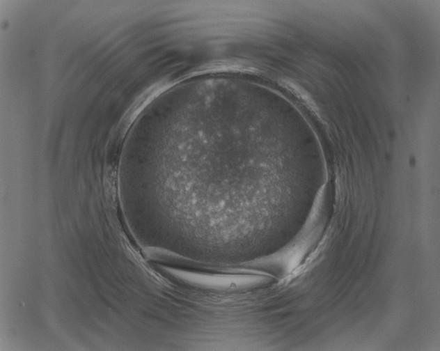 X0000065971369200603101347