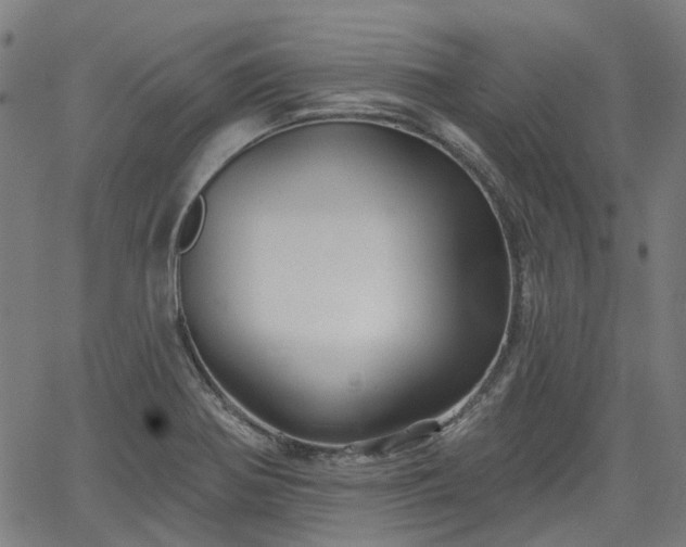 X0000065971370200603101346