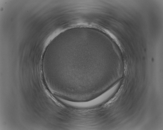 X0000065971373200603101346