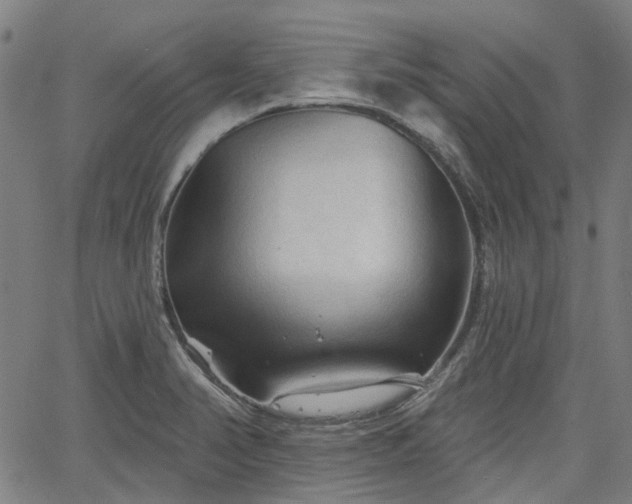 X0000065971374200603101346