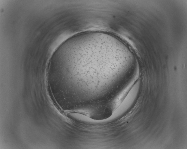 X0000065971375200603101346