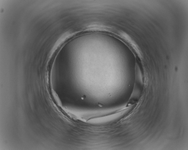 X0000065971376200603101346