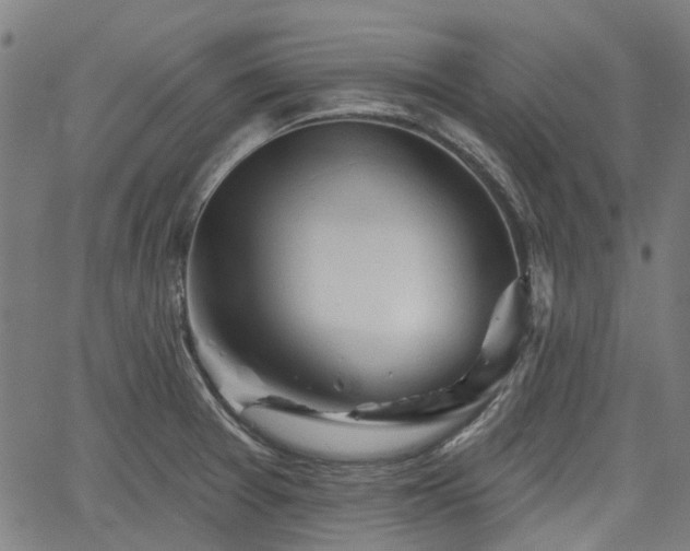 X0000065971377200603101346