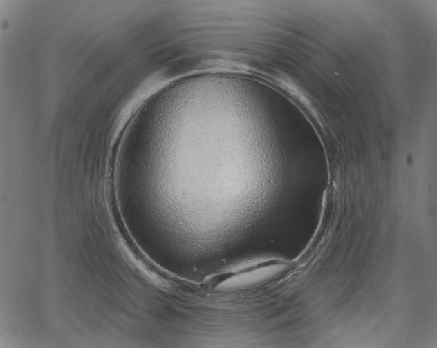 X0000065971379200603101346