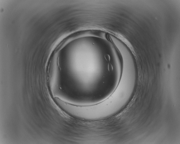 X0000065971380200603101346